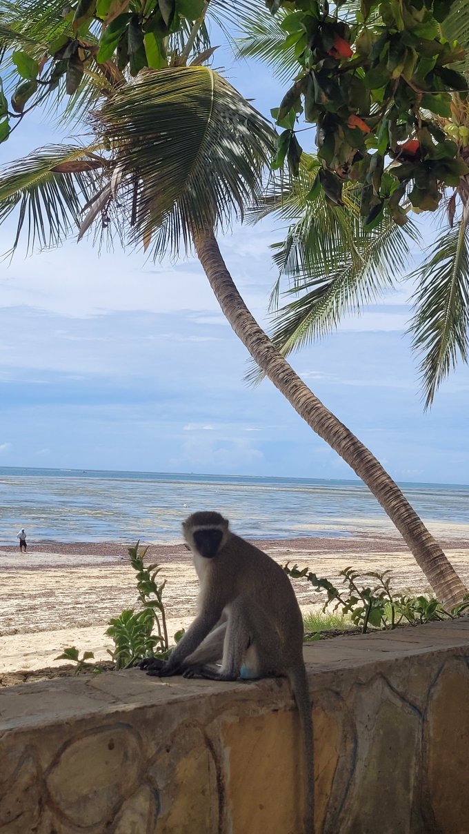 旅客海滩酒店-泳池