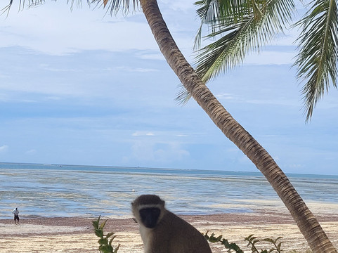 旅客海滩酒店主图