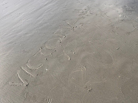 Pernambuco e do Mar Casado Beach-瓜鲁雅必去景点