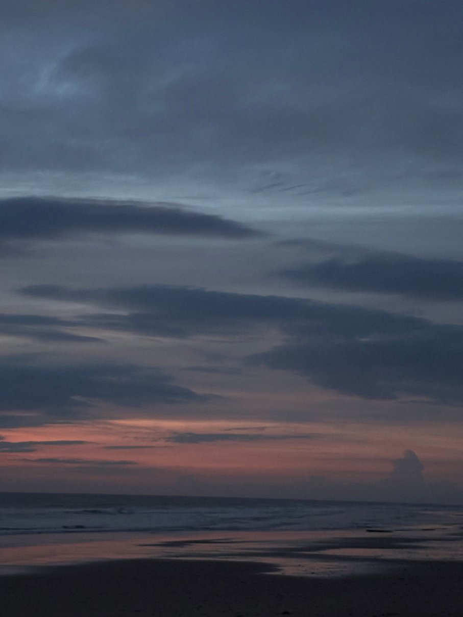 厄尔巴鲸鱼海岸沙滩与海水浴疗酒店-官方
