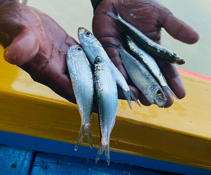 Off 2 Sri Lanka Private Tours-Piliyandala必去景点