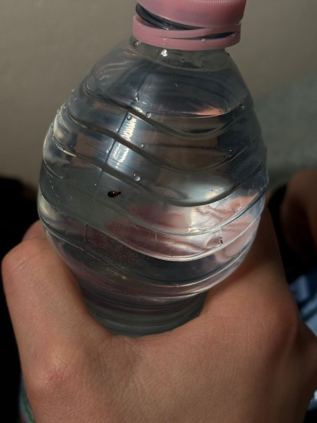 珍珠湾度假村-官方