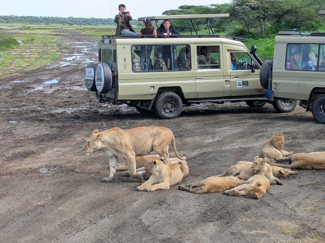 Tanzania Kizza Adventures-莫西必去景点