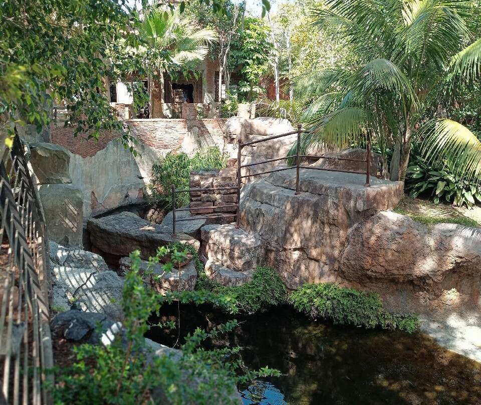 Bioparc Fuengirola-福恩吉罗拉必去景点