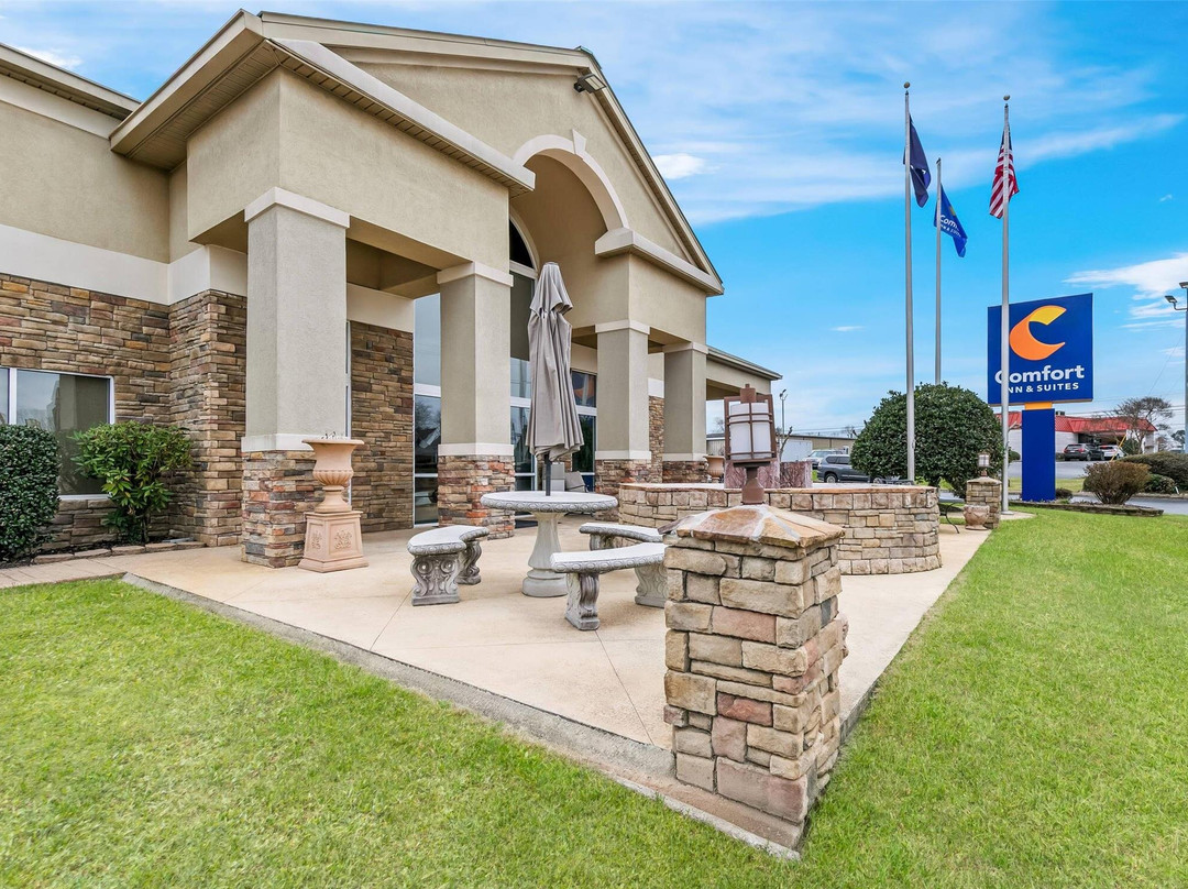 Greenwood酒店住宿-Comfort Inn & Suites Greenwood Near University