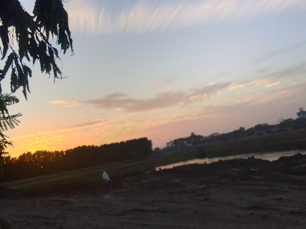 苏拉特万怡酒店-官方