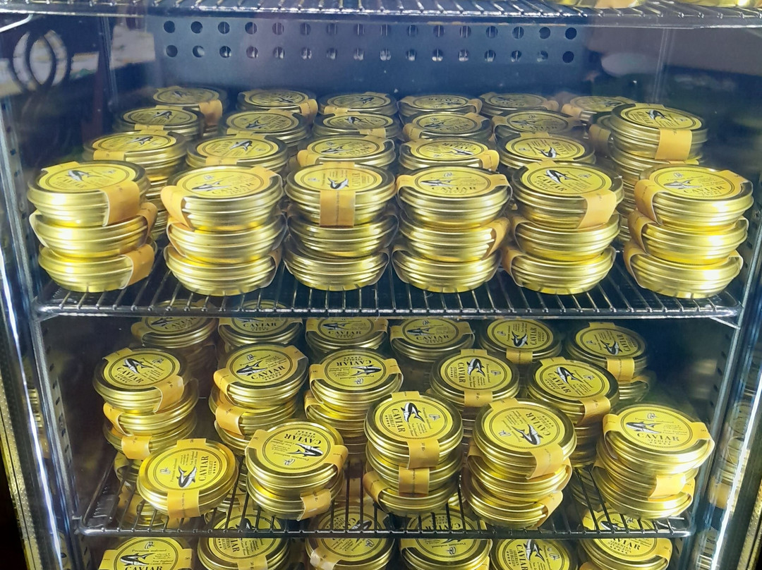 Puhoi Organic Distillery & Caviar House-Puhoi必去景点