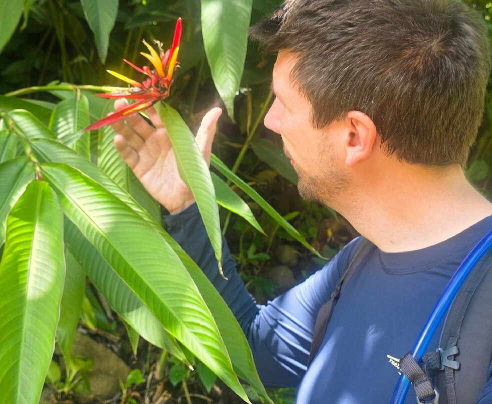 Waimea Botanical Gardens, Oahu-哈雷瓦必去景点