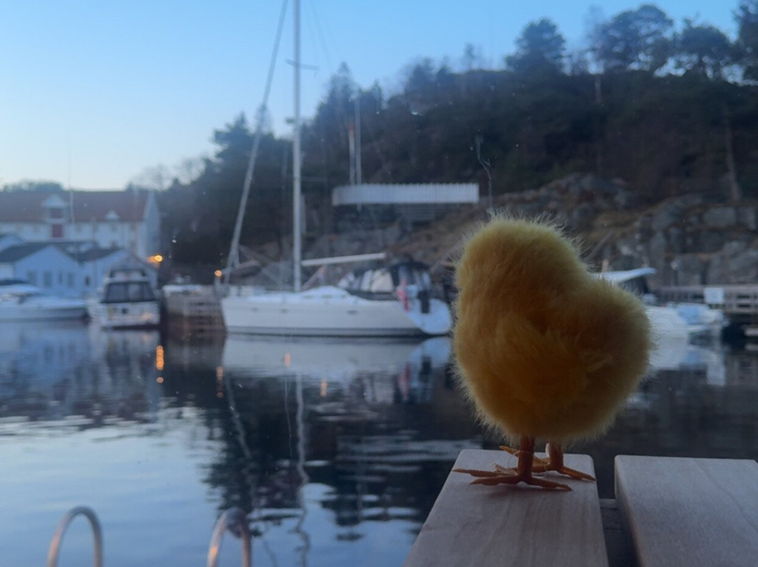 Fryd Askøy-Strusshamn必去景点