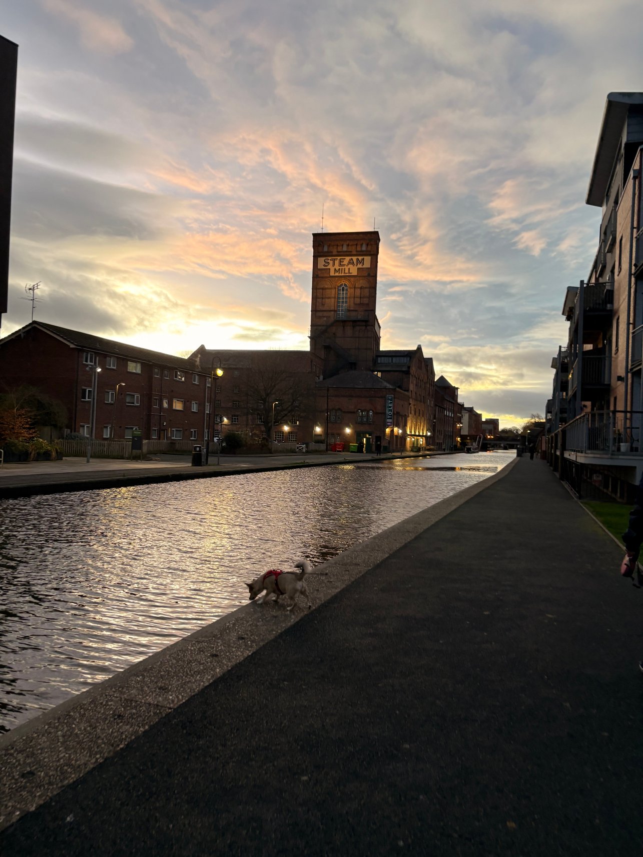 Moxy切斯特酒店-官方