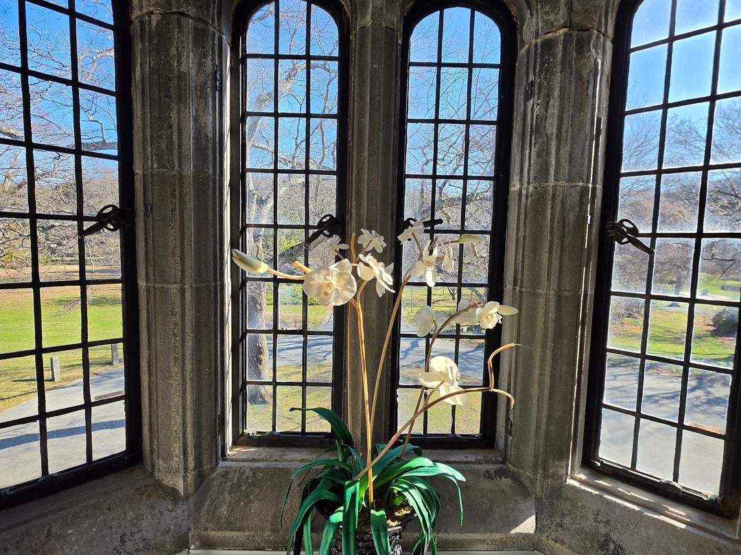 斯凯兰兹庄园城堡民宿主图