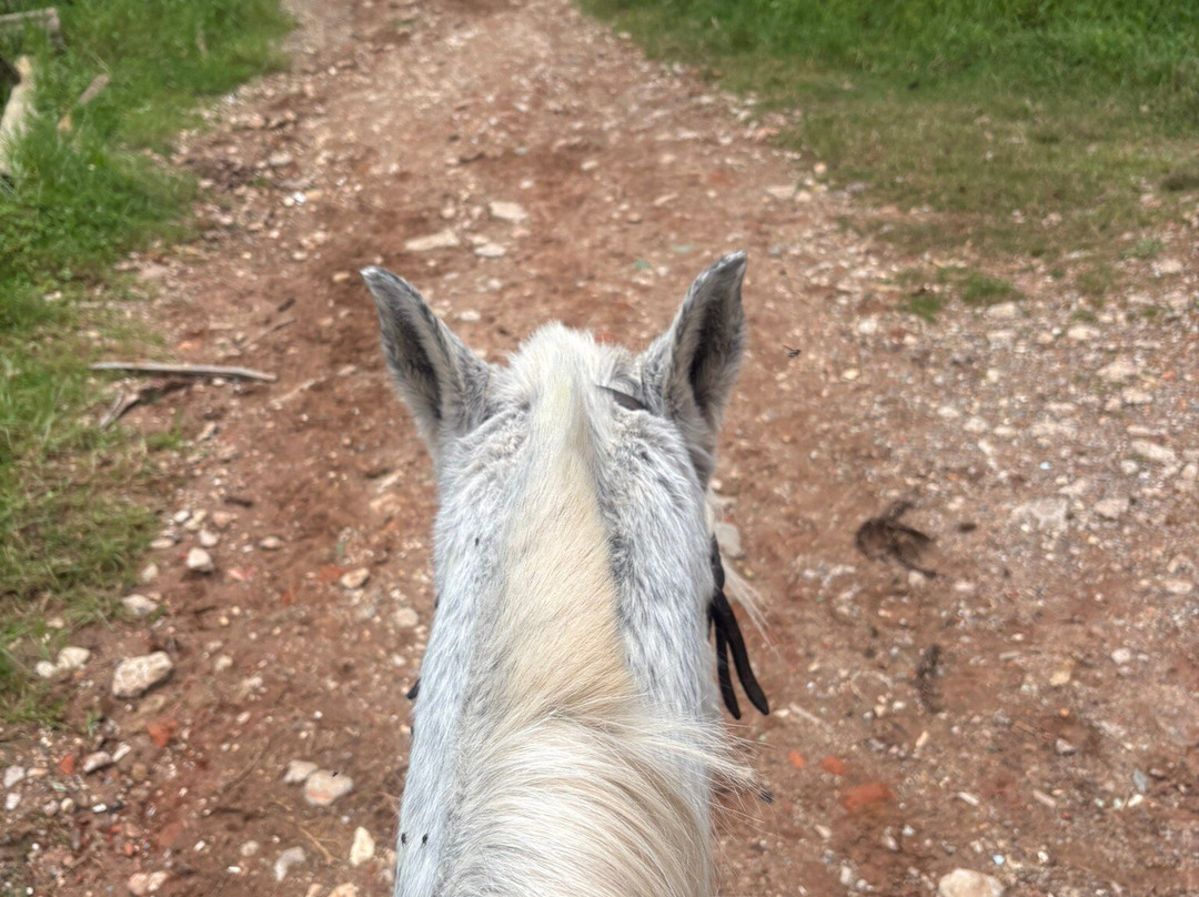 Parque Tarundu-坎普斯－杜若尔当必去景点