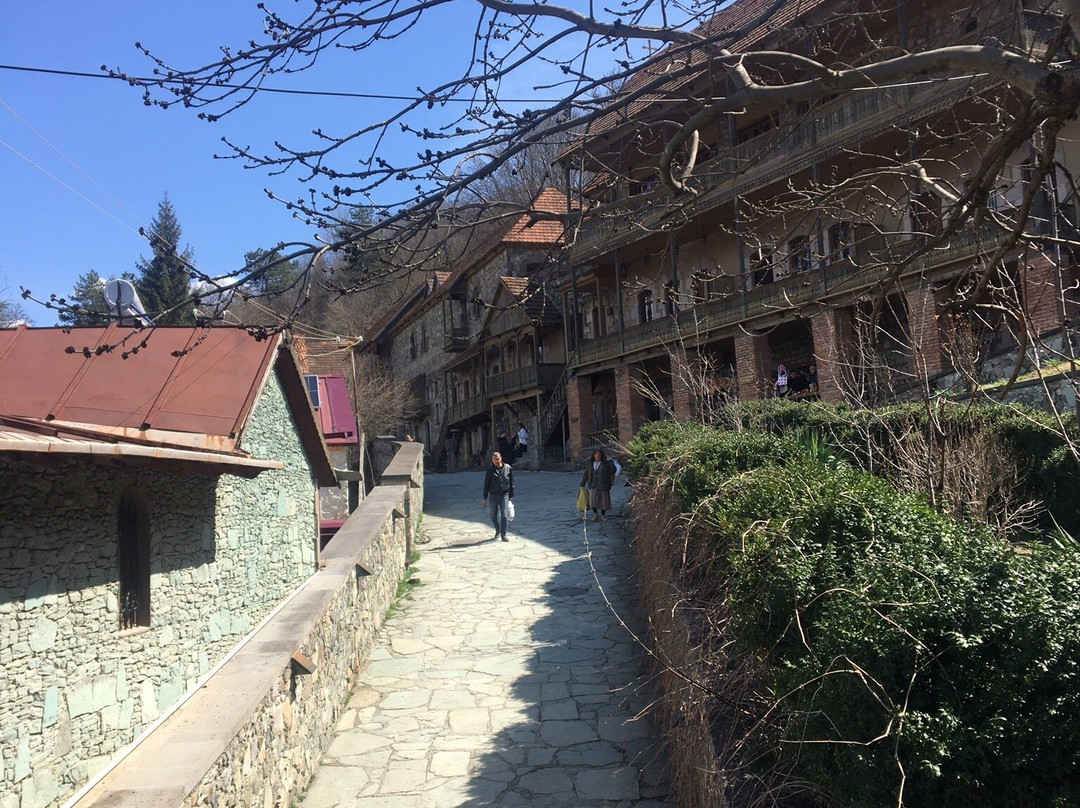 图芬吉安老狄丽佳酒店主图