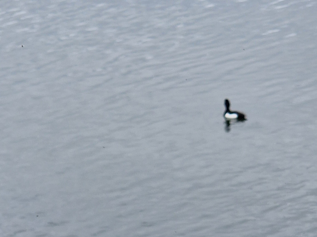 Draycote Water-Dunchurch必去景点