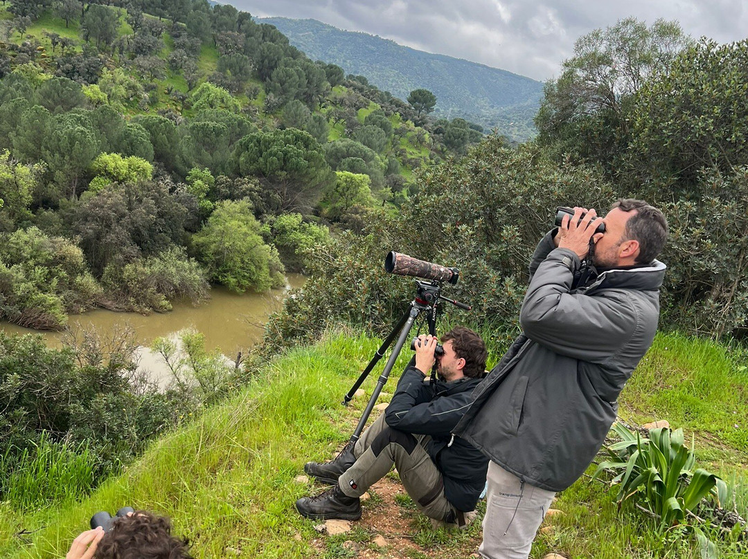Birds&Lynx Ecotourism-La Carolina必去景点