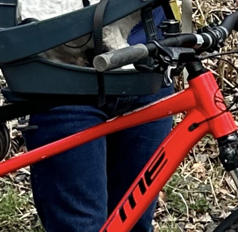 Blackwell Mill Cycle Hire-巴克斯顿必去景点