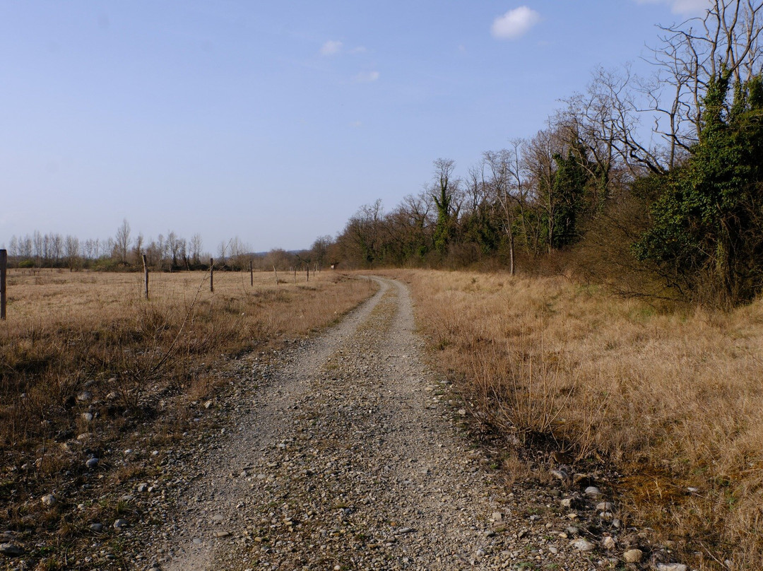 Petite Camargue Alsacienne-圣路易斯必去景点