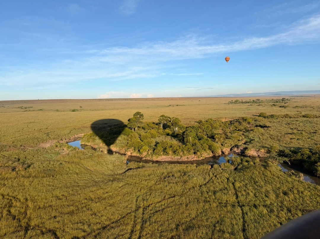 Hot Air Safaris-马赛马拉国家野生动物保护区必去景点