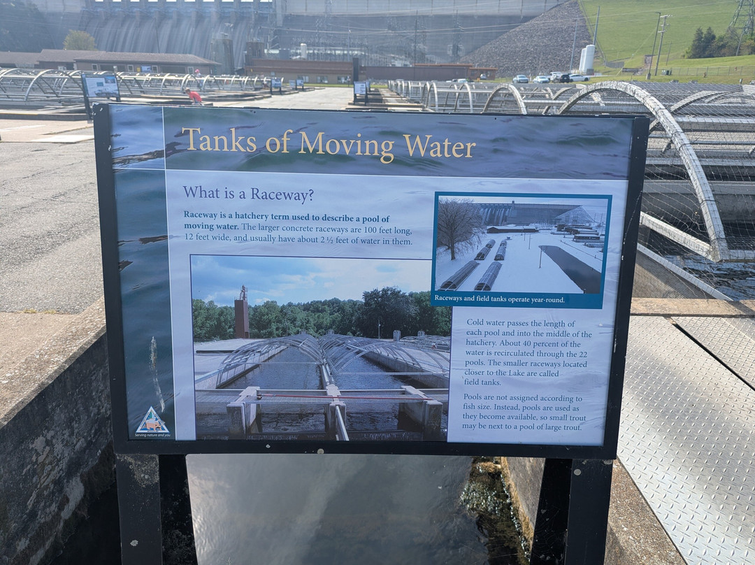 Shepherd of the Hills Fish Hatchery-布兰森必去景点