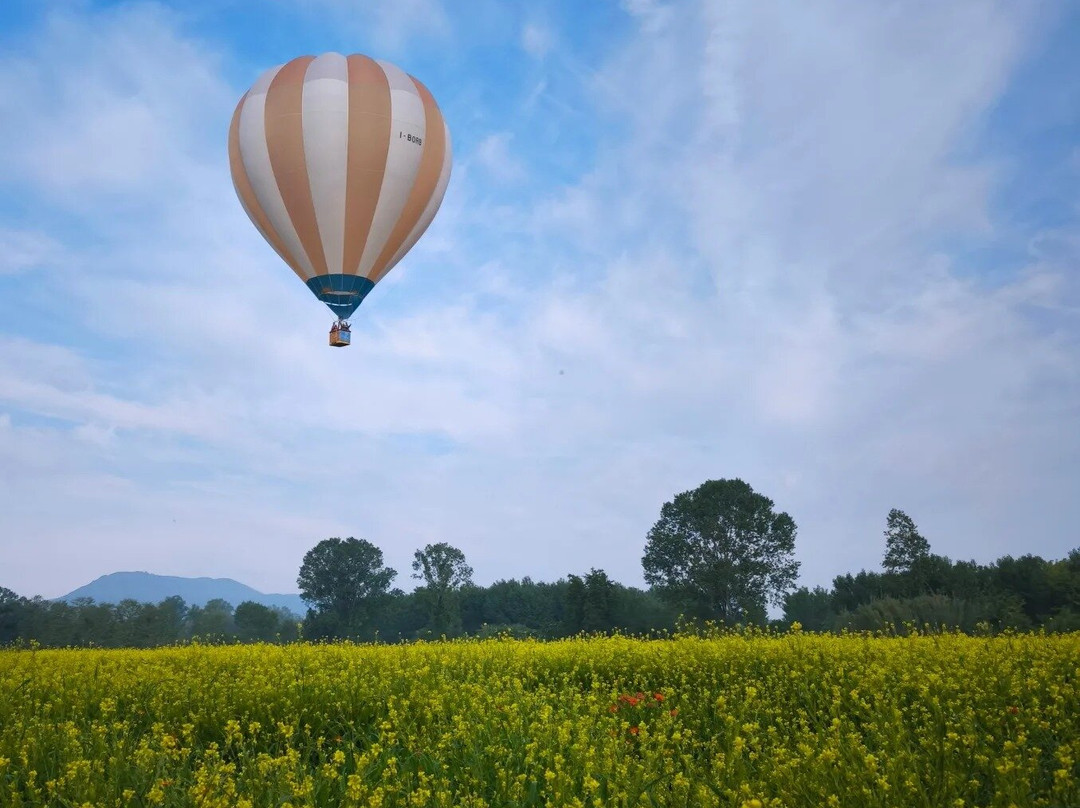 Volare sull'Arte
