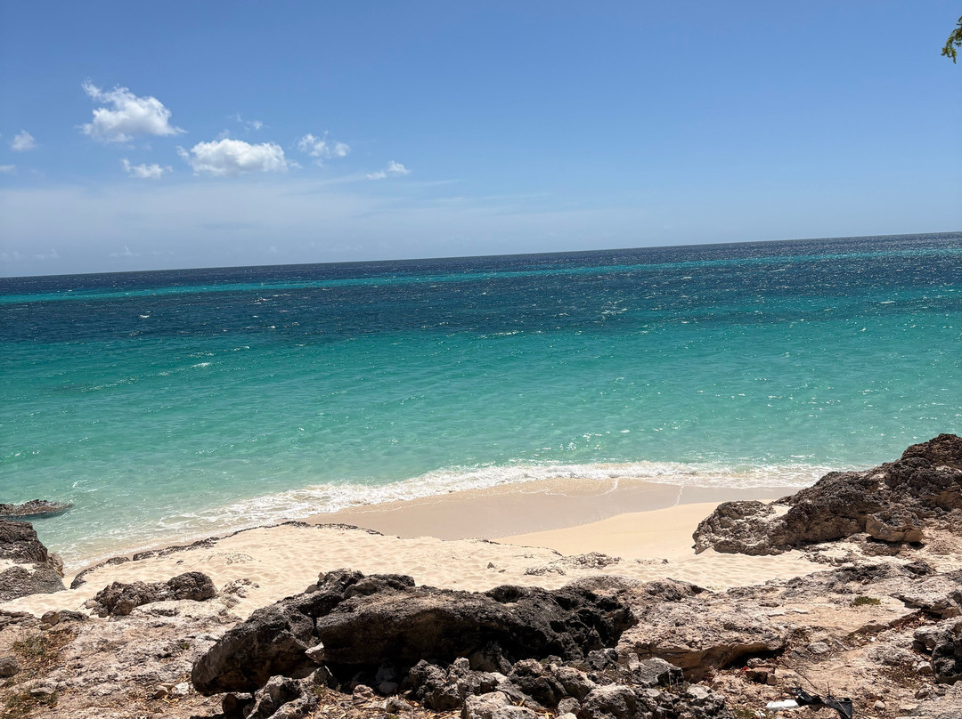 JaraHucos Tours Pedernales-Pedernales必去景点