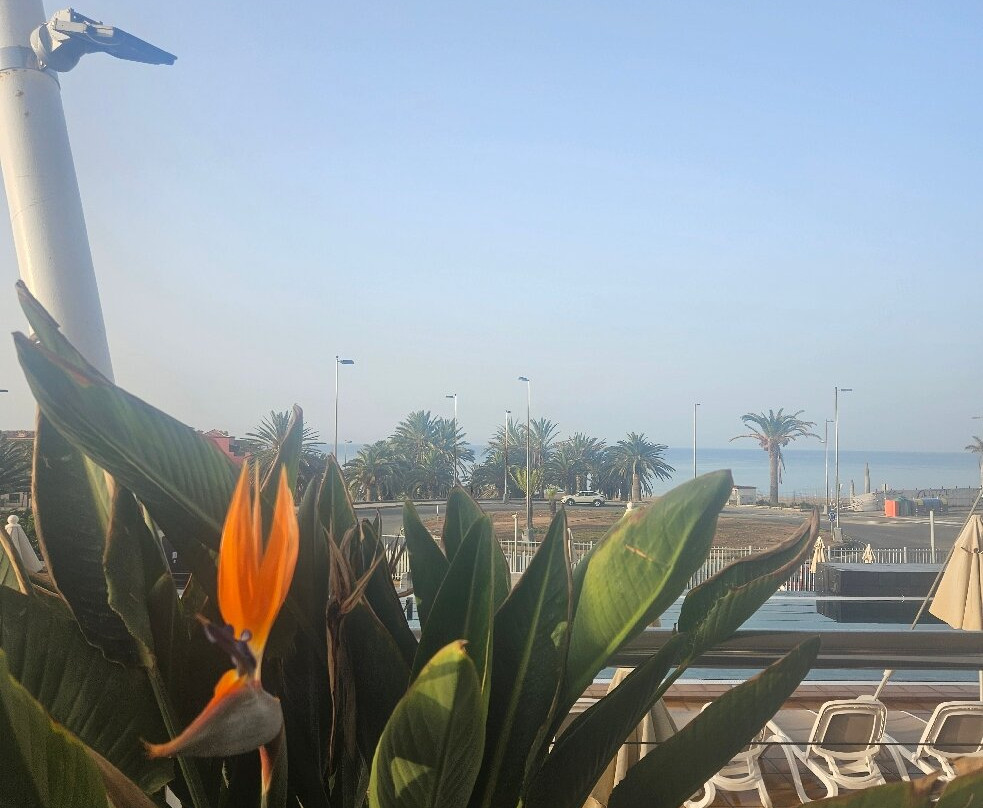 Caybeach美洛纳拉斯主图