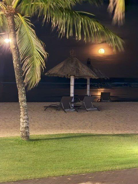 Club Med巴厘岛度假村（一价全包式含儿童俱乐部）主图