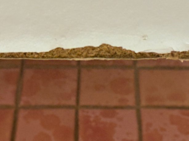 海湾汽车旅馆-旅行者