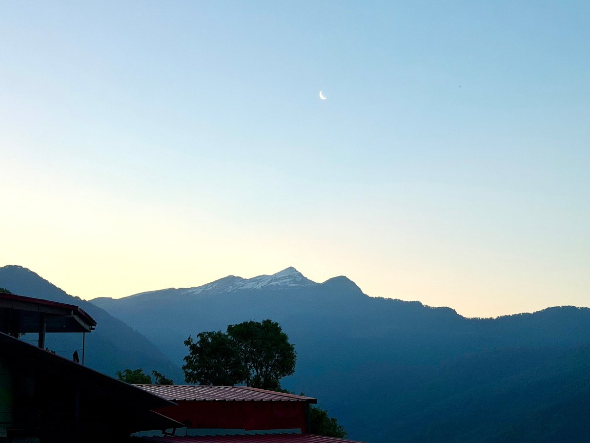 Buransh Stays-旅行者