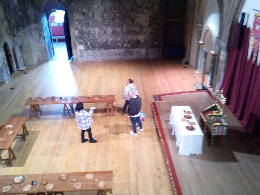 Norwich Castle Museum & Art Gallery-诺威奇必去景点