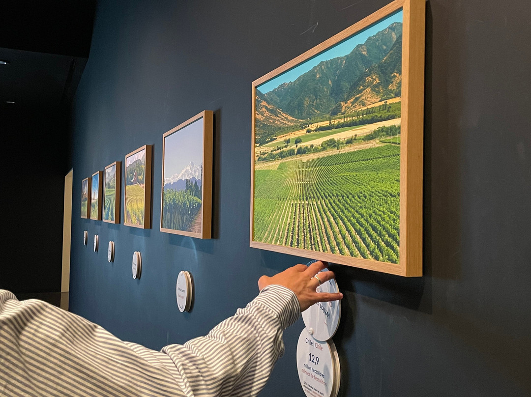 The Wine Experience Museum-加亚新城必去景点