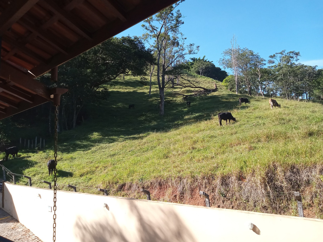蒙大拿村农庄酒店主图