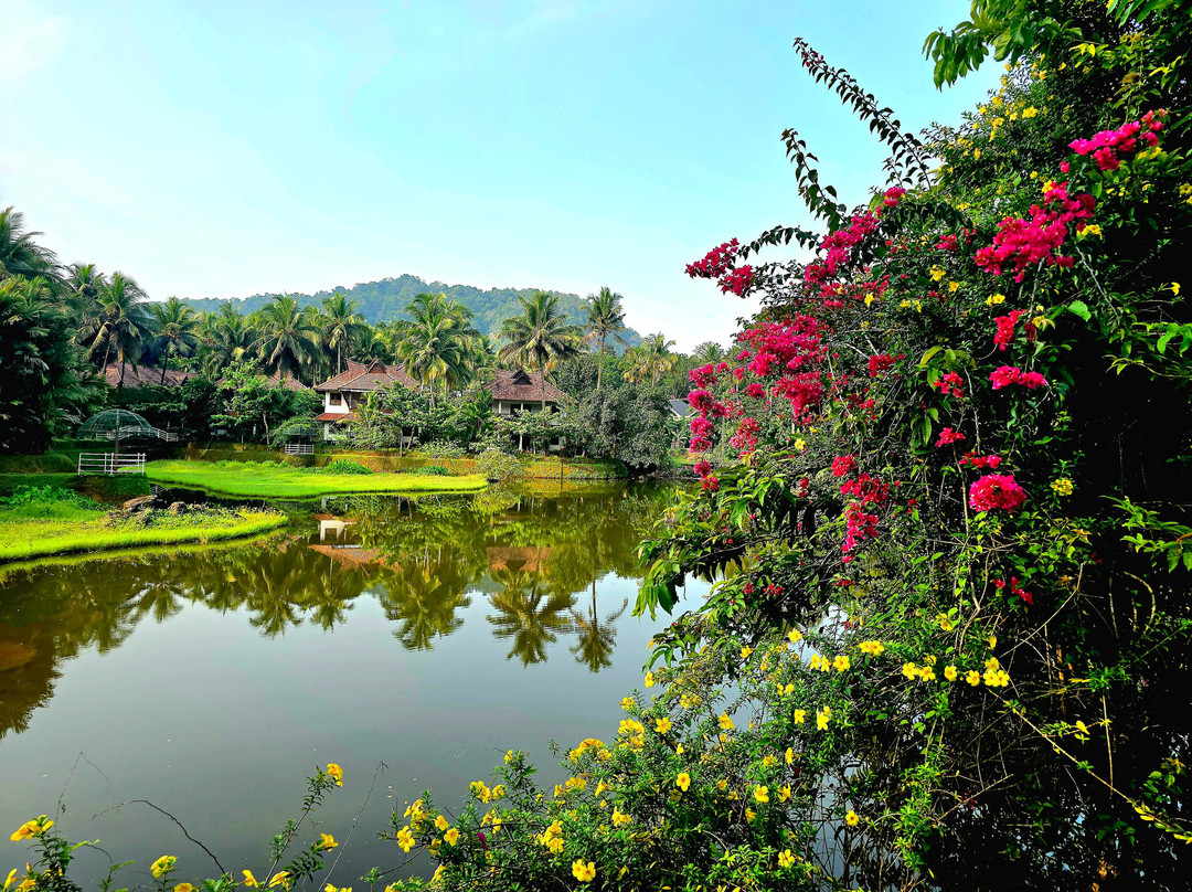 Kalypso Adventures-Fort Kochi必去景点