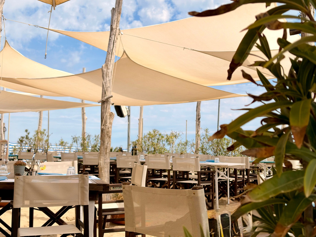 Bagno Torakiki Tkk-Lido di Classe必去景点