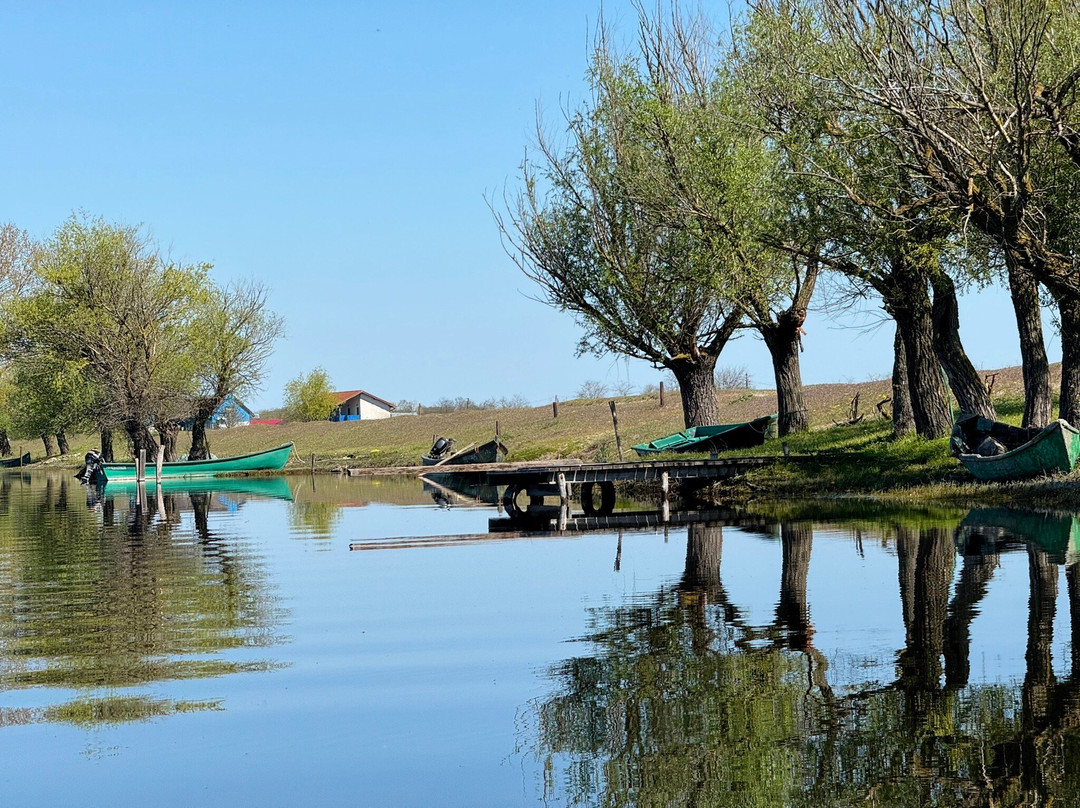 Tours in Delta with John-Crisan必去景点