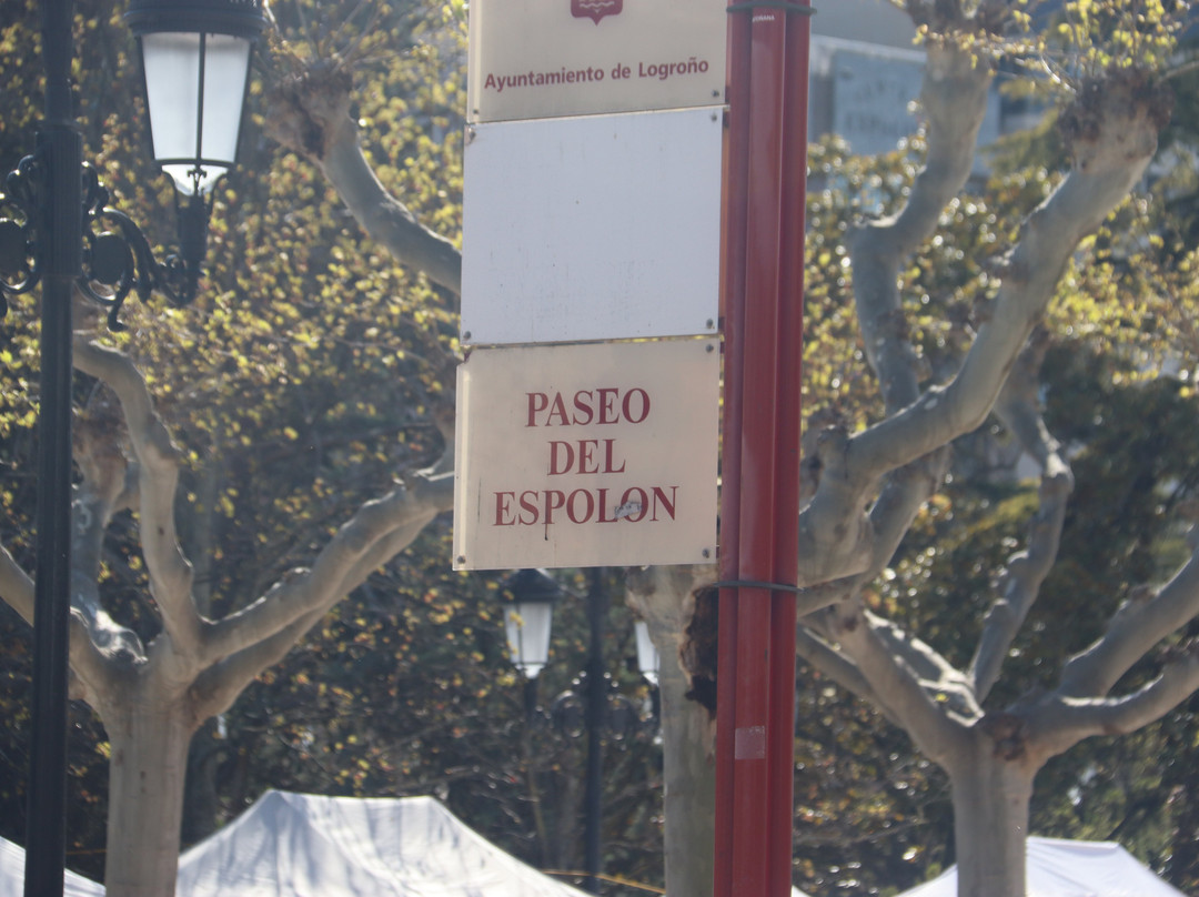 Paseo del Espolon-洛格罗尼奥必去景点