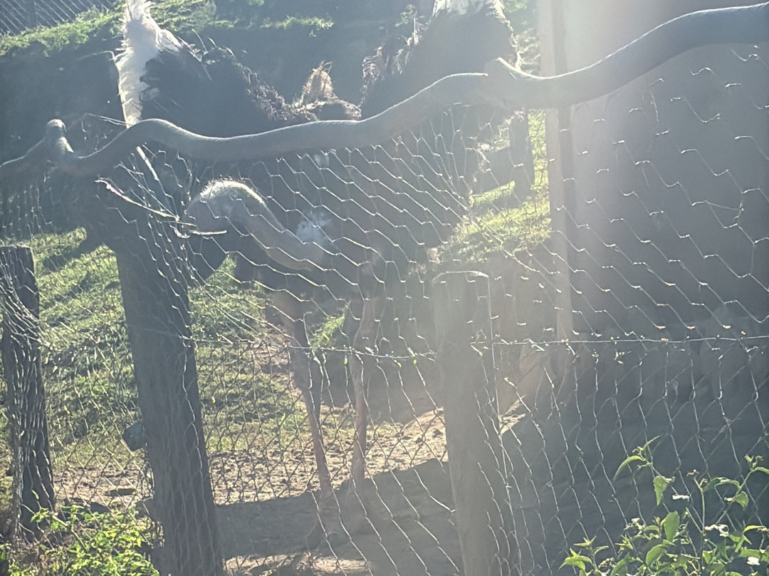 Hotel Fazenda Terra Dos Sonhos主图
