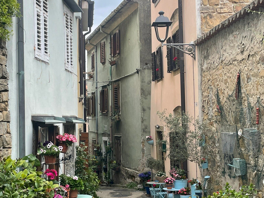 Muggia-Muggia必去景点
