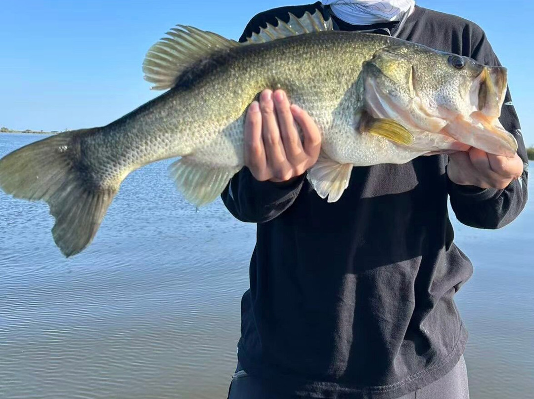 Okeechobee Bass Guide Service-奥基乔比必去景点