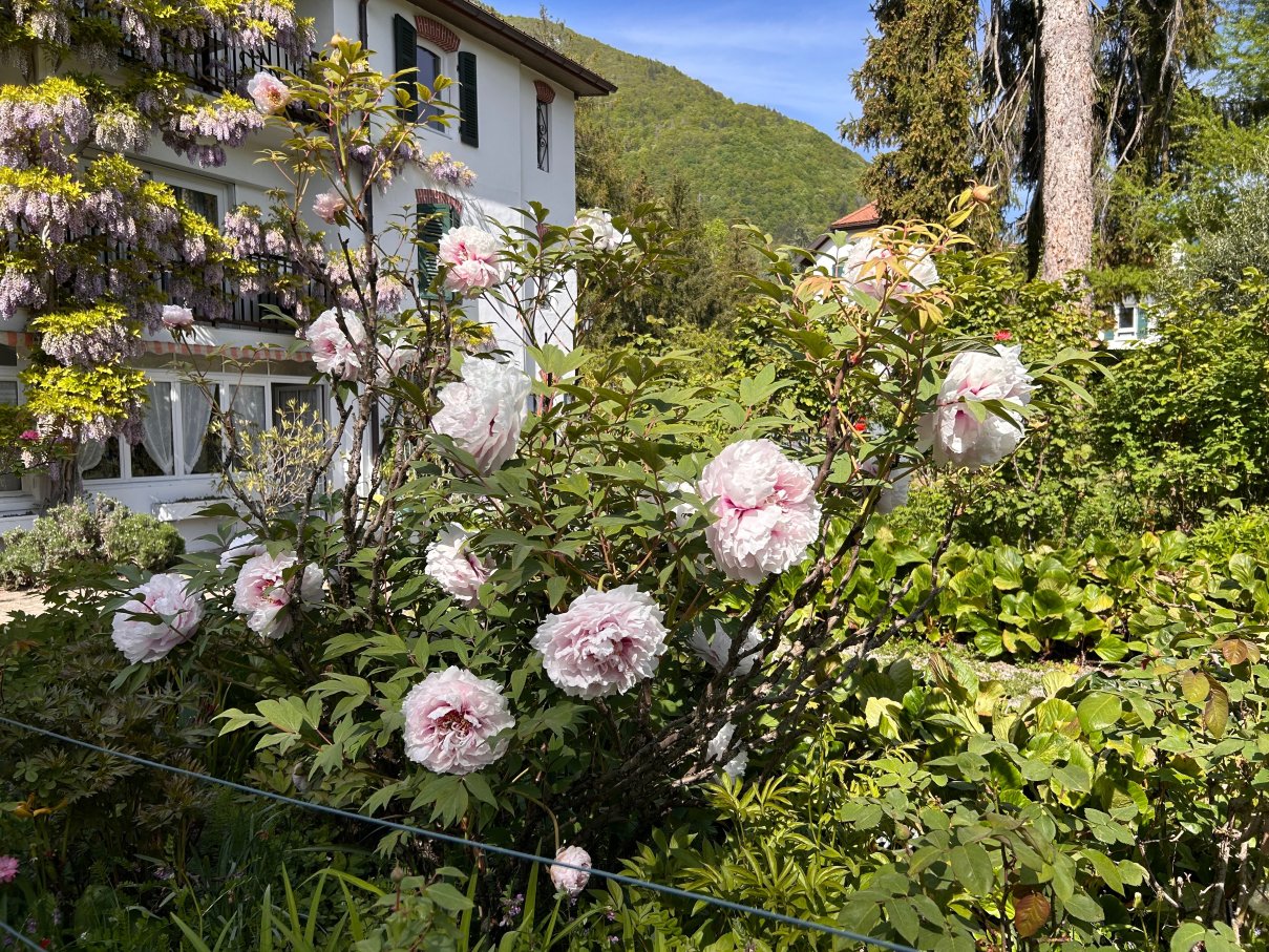 Hotel Beau Sejour-旅行者