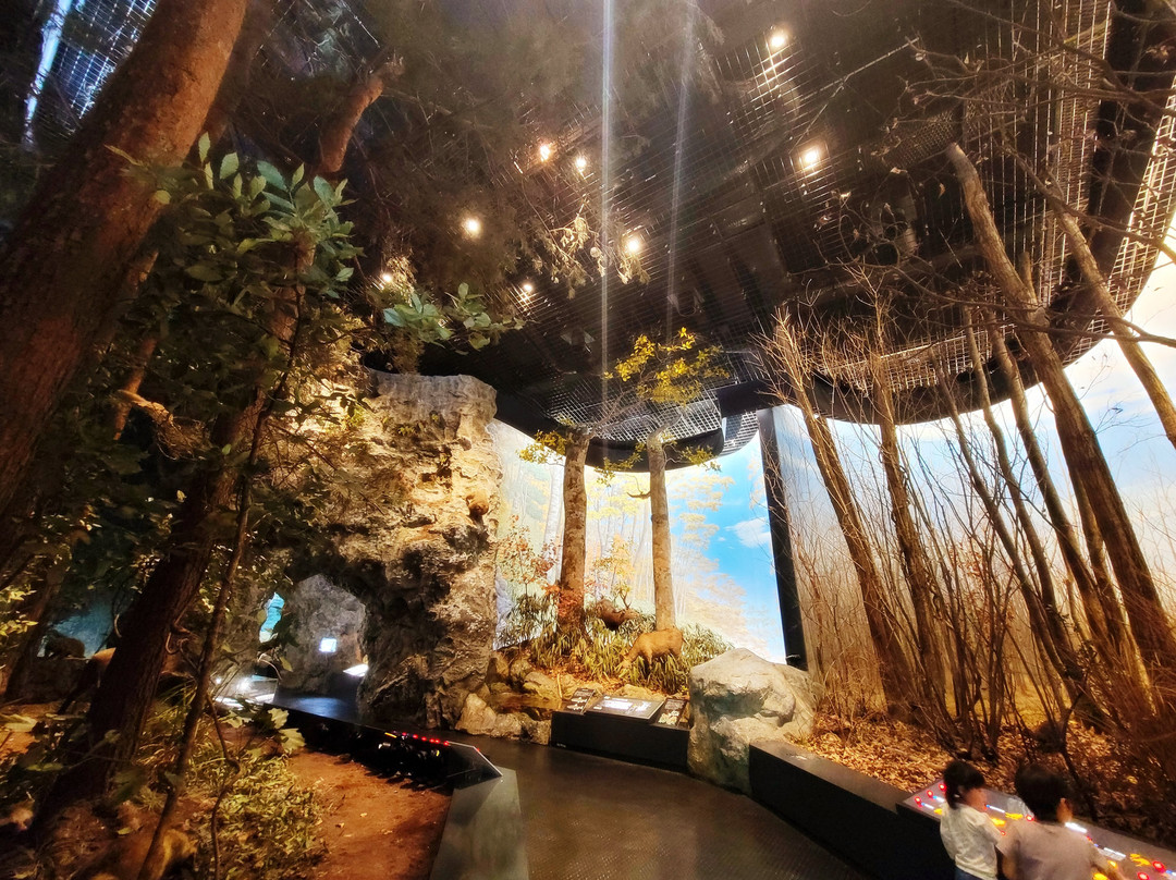 Saitama Museum of Natural History-长瀞町必去景点