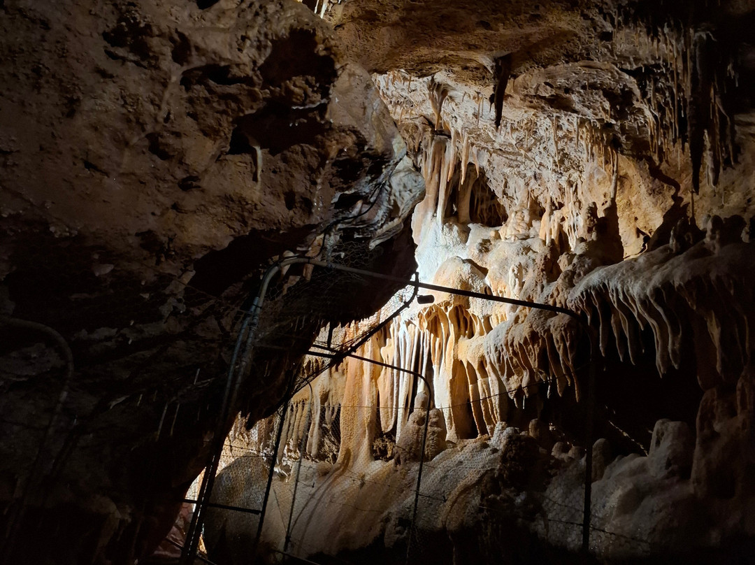 Grotte Du Bosc-Saint-Antonin Noble Val必去景点