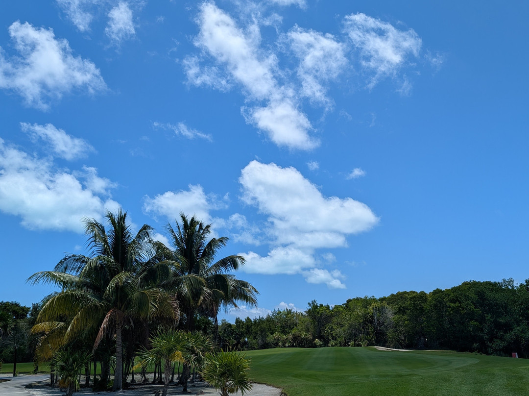 Playa Mujeres Golf Club-Punta Sam必去景点