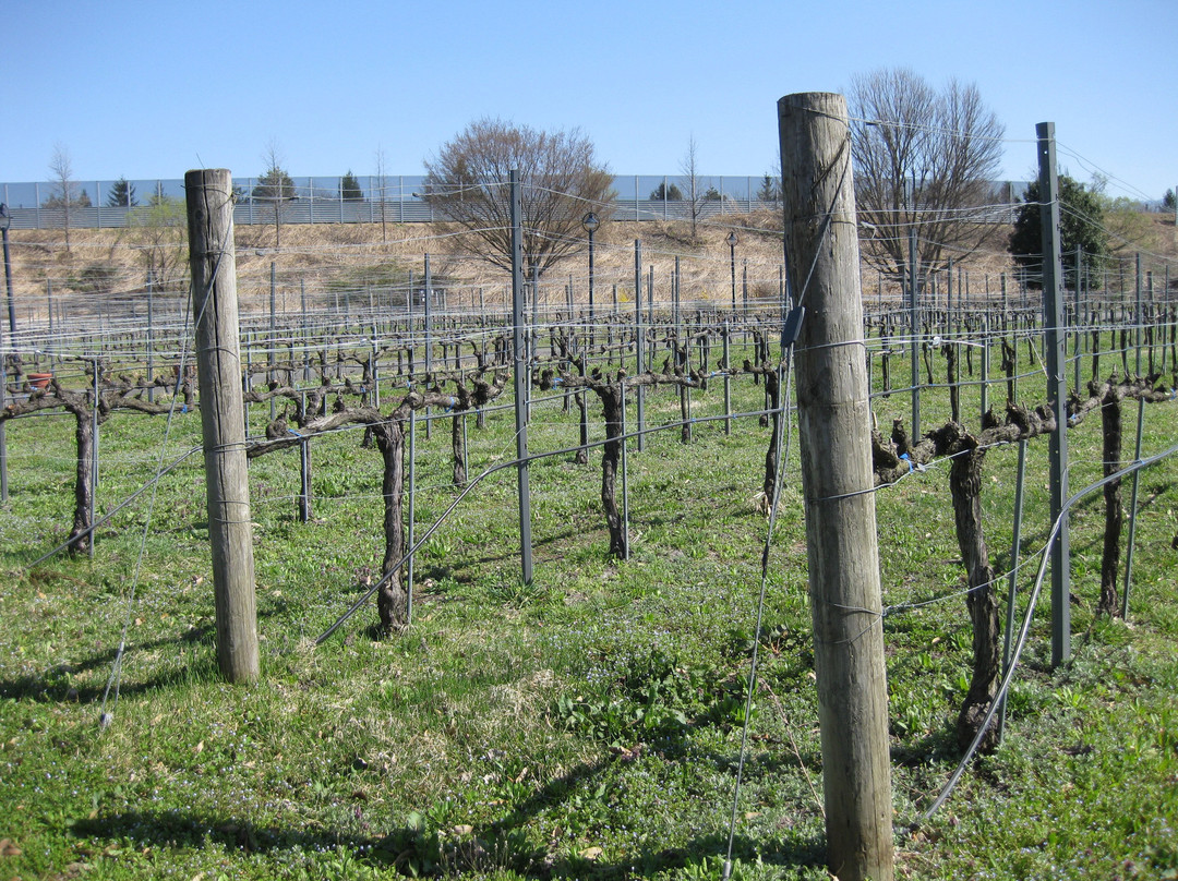 Takahata Winery-高畠町必去景点