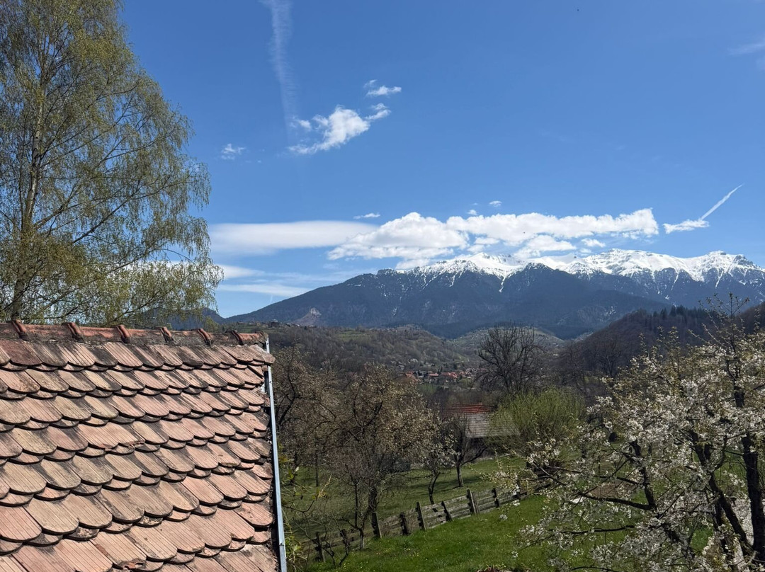 Villa Alba by Akasha Retreat