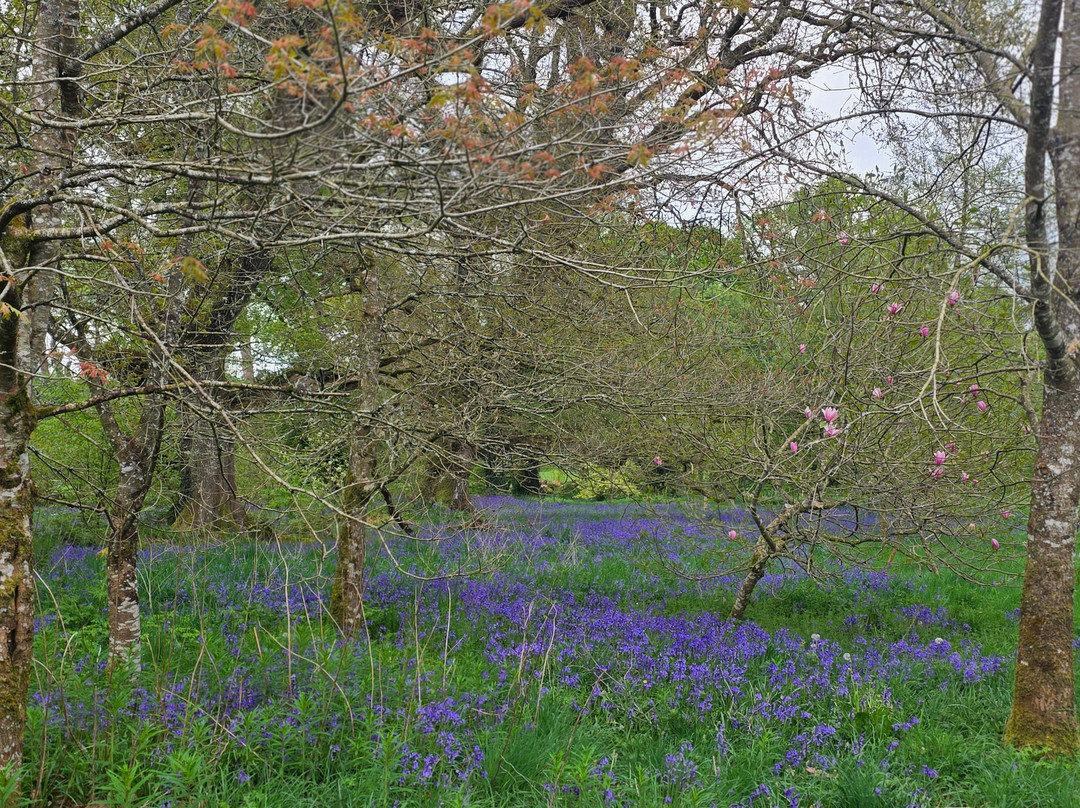 Tullynally Castle Gardens-Castlepollard必去景点