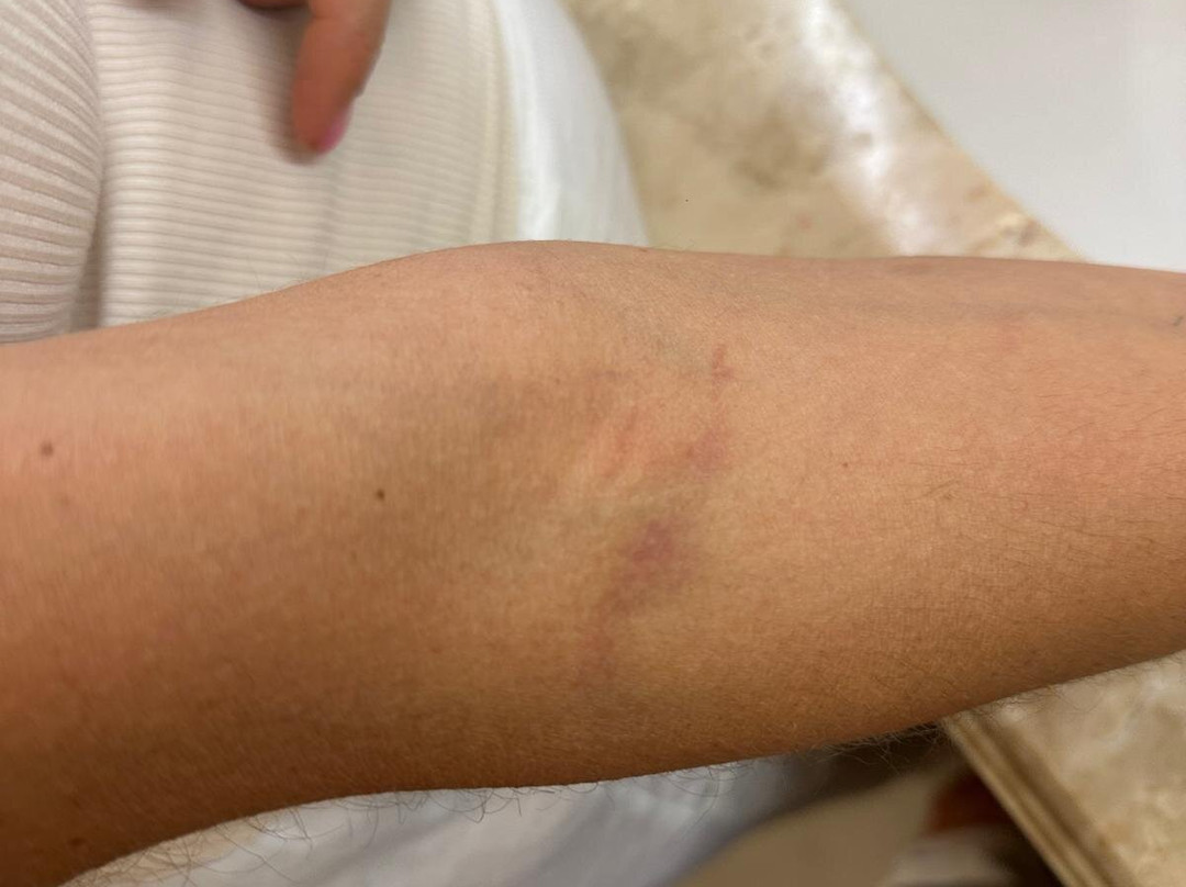 埃拉特示巴女王酒店主图