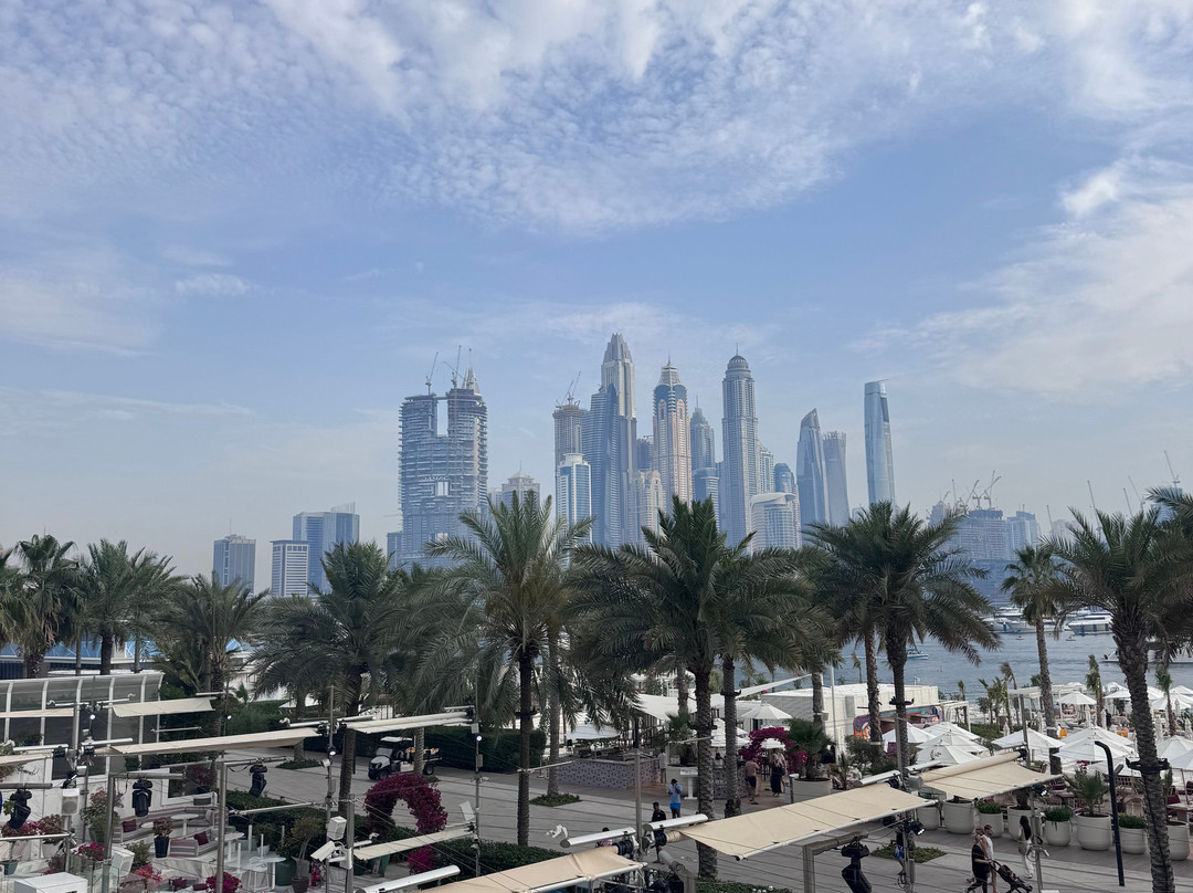 The Social Pool At Five Palm Jumeirah-迪拜酋长国必去景点