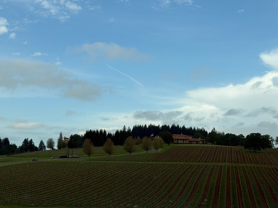 Archery Summit Winery-Dayton必去景点