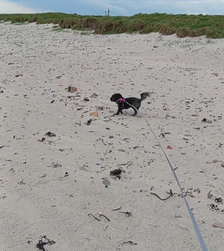 Boulmer Beach-Boulmer必去景点